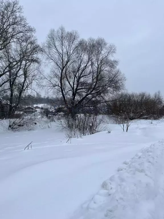 Участок в Нижегородская область, Нижний Новгород городской округ, д. ... - Фото 0