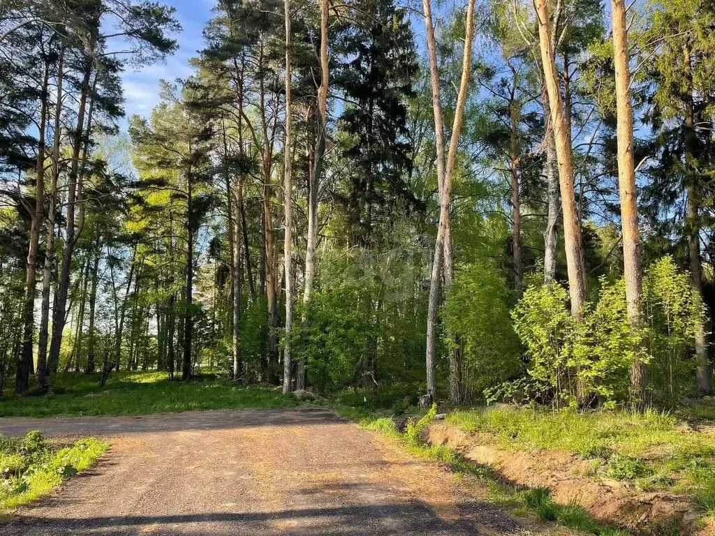 Участок в Московская область, Красногорск городской округ, д. ... - Фото 1