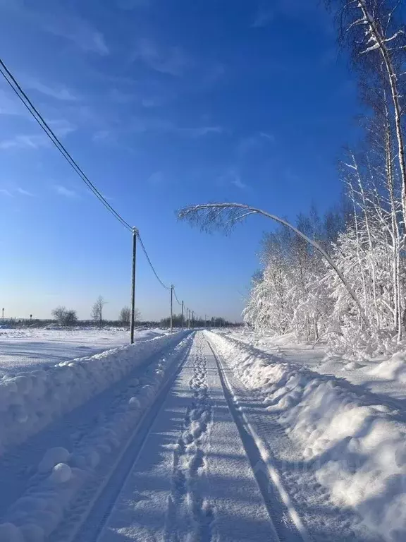 Участок в Ленинградская область, Приозерский район, Сосновское с/пос, ... - Фото 0