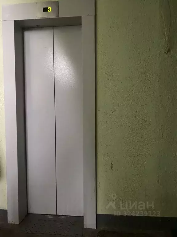 Комната Ленинградская область, Кингисепп ул. Химиков, 4 (13.1 м) - Фото 2