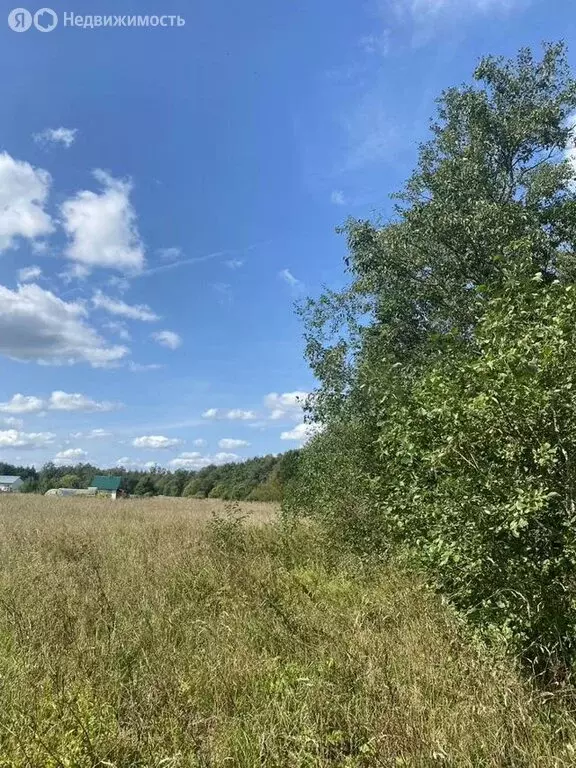 Участок в Волосовский район, Большеврудское сельское поселение, ... - Фото 1