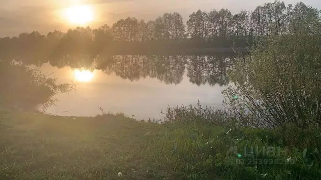 Дом в Рязанская область, Шацкий район, Польно-Ялтуновское с/пос, с. ... - Фото 2