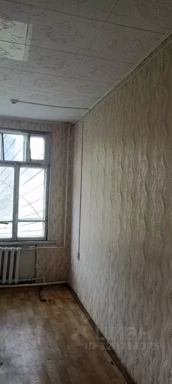 Помещение свободного назначения в Забайкальский край, Борзя ... - Фото 1