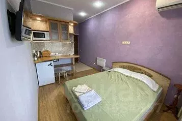 1-к кв. Севастополь ул. Челюскинцев, 49/3 (20.0 м) - Фото 0