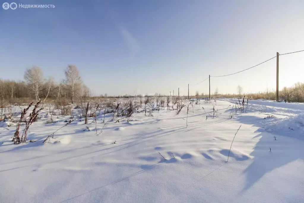 Участок в Тюмень, садовое товарищество Яровское (24.36 м) - Фото 0