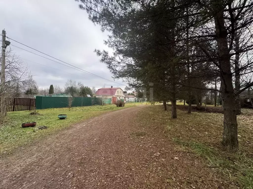 Участок в Московская область, Талдомский городской округ, д. Бурцево  ... - Фото 1