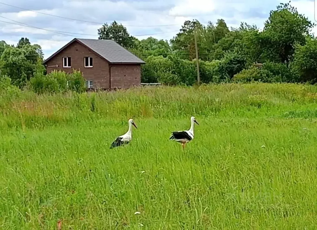 Дом в Калужская область, Юхновский район, Щелканово с/пос, с. ... - Фото 2