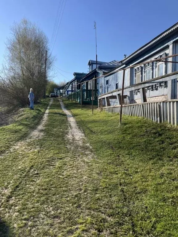Дом в Нижегородская область, Павловский район, с. Грудцино 40 (34 м) - Фото 1