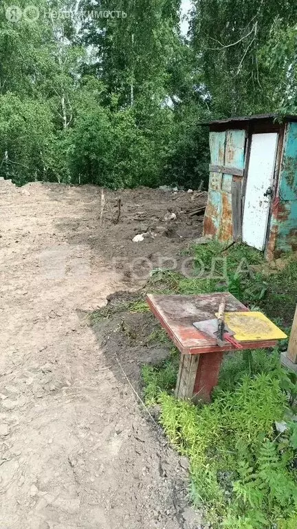 Участок в Новосибирск, садовое товарищество Комета-Берёзка (4.2 м) - Фото 2