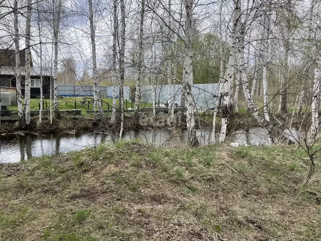 Дом в Тюменская область, Нижнетавдинский район, Сочинские СНТ 7-я ... - Фото 0