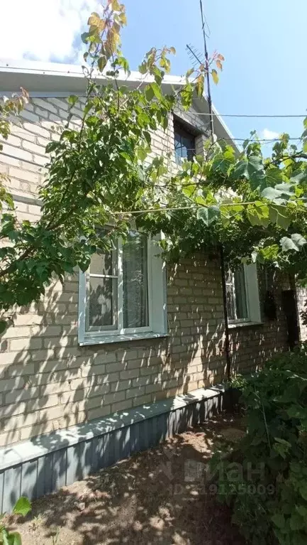 Дом в Воронежская область, Россошь ул. Василевского (44 м) - Фото 1