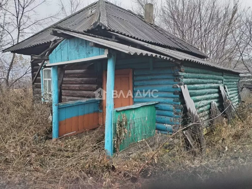 Дом в Новосибирская область, Тогучинский район, с. Златоуст ул. ... - Фото 0