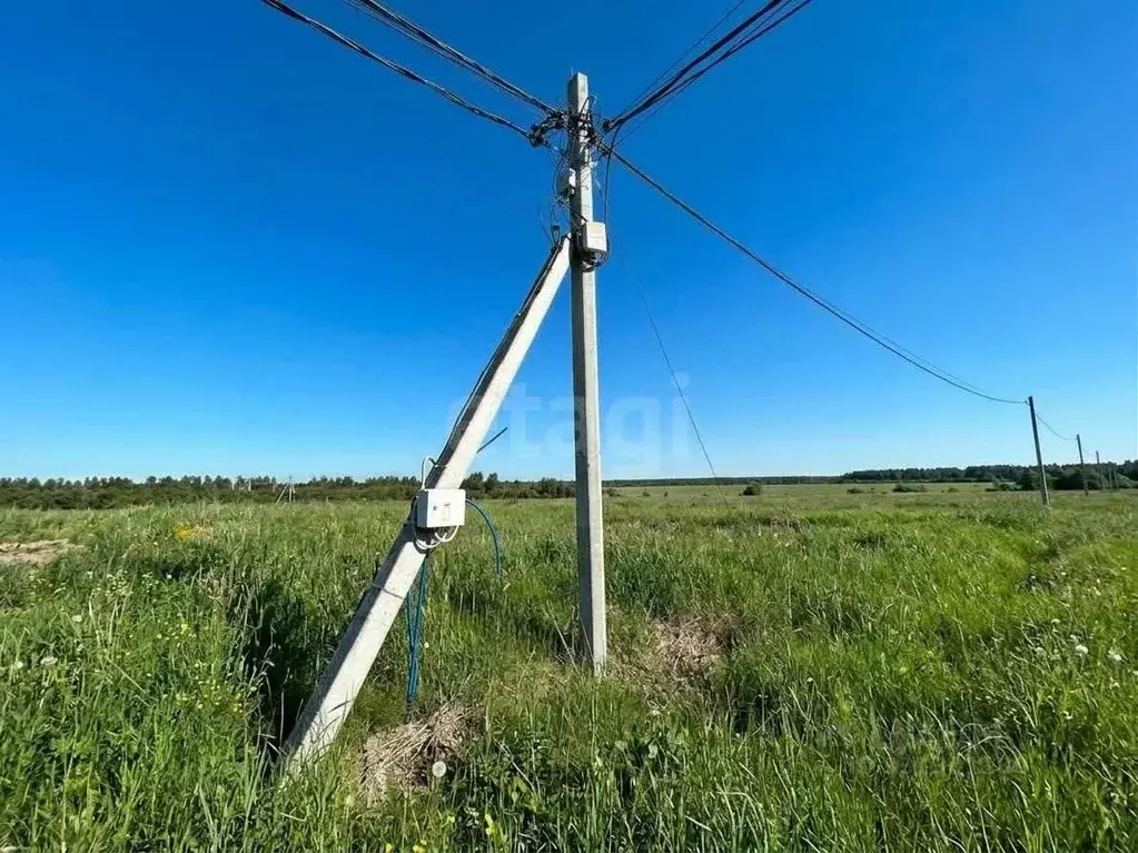 Участок в Ленинградская область, Ломоносовский район, д. Низино ул. ... - Фото 2