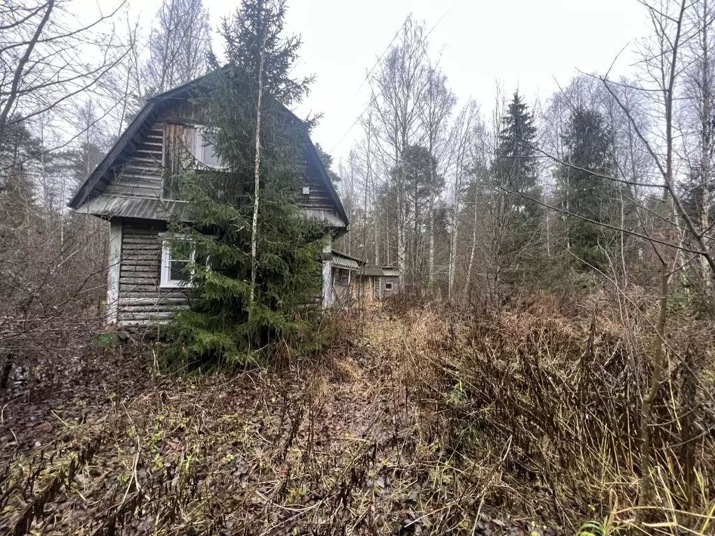 Дом в Ленинградская область, Волховский район, Кисельнинское с/пос, ... - Фото 1