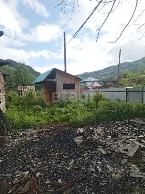 Участок в Алтайский край, Алтайский район, с. Сараса Красноармейская ... - Фото 0