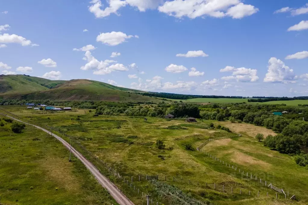 Участок в Алтайский край, Смоленский район, с. Солоновка ул. Бобровая ... - Фото 1