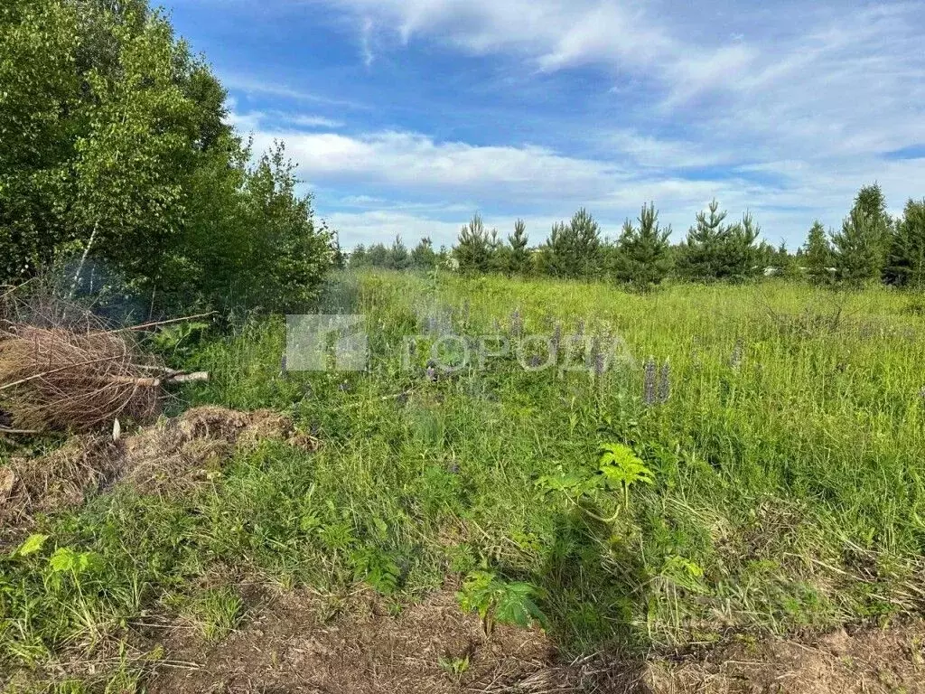 участок в московская область, наро-фоминский городской округ, д. . - Фото 1