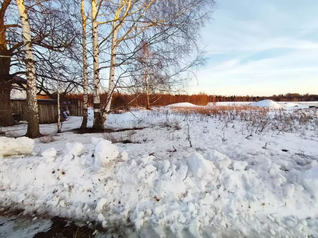 Участок в Костромская область, Костромской район, Минское с/пос, д. ... - Фото 1