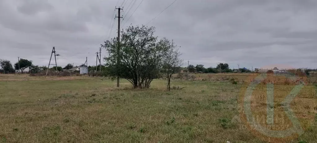 Участок в Крым, Черноморский район, Окуневское с/пос, с. ... - Фото 1