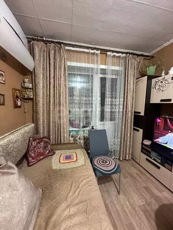 Студия Амурская область, Благовещенский район, с. Чигири ул. Красная, ... - Фото 1