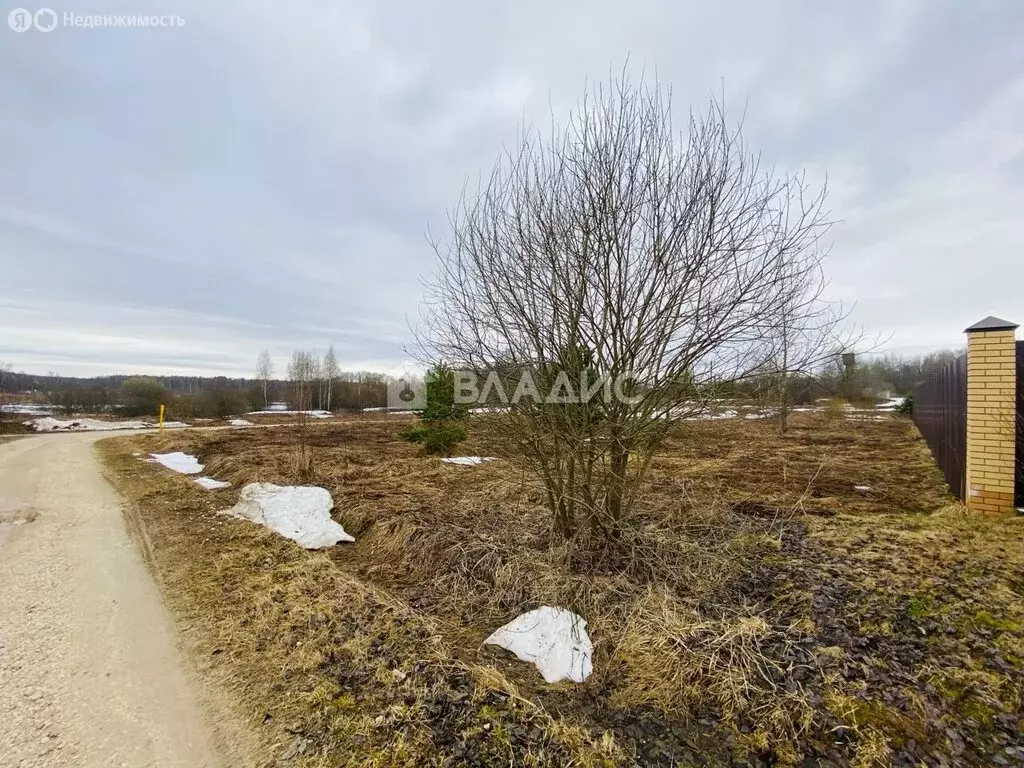 Участок в Владимирская область, Собинский муниципальный округ, деревня ... - Фото 1