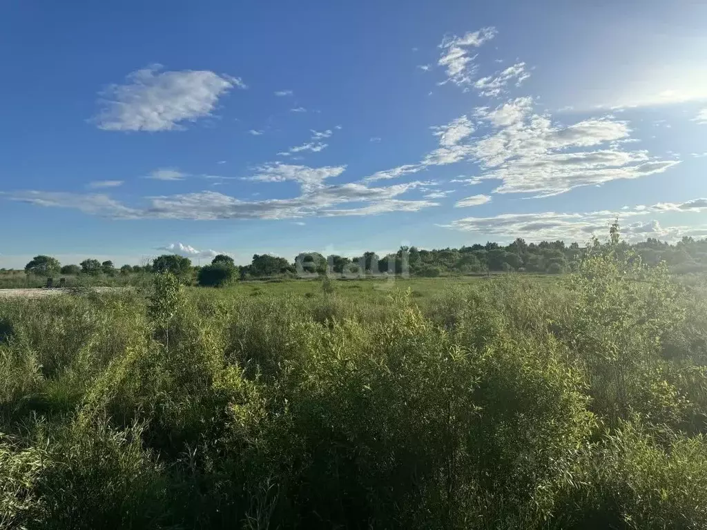 Участок в Амурская область, Благовещенск  (15.0 сот.) - Фото 1