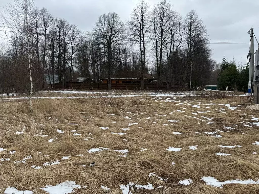 Участок в Московская область, Чехов муниципальный округ, д. Хлевино ... - Фото 1