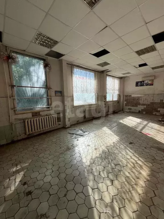 Торговая площадь в Калужская область, Калуга Куровской мкр, ул. ... - Фото 1