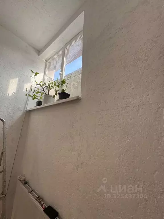 Помещение свободного назначения в Краснодарский край, Краснодар Имени ... - Фото 2