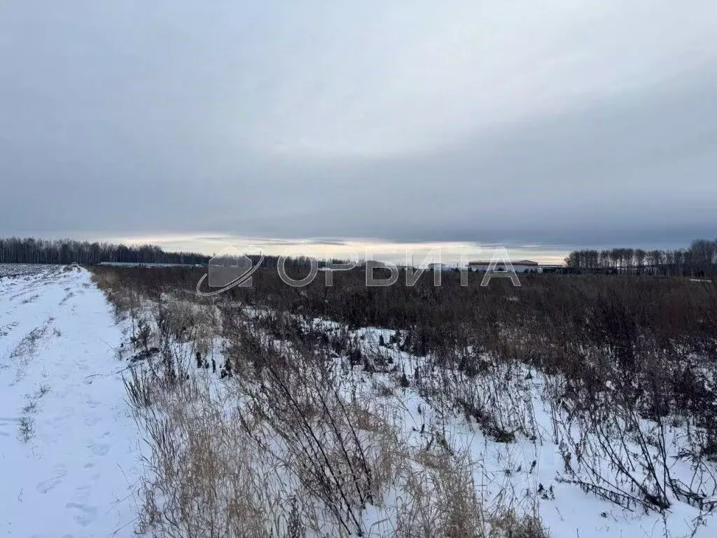 Участок в Тюменская область, Тюменский муниципальный округ, с. ... - Фото 1