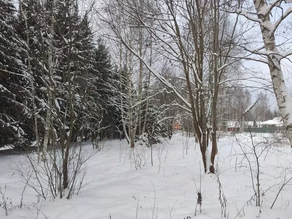 Участок в Московская область, Мытищи городской округ, д. Долгиниха ул. ... - Фото 1