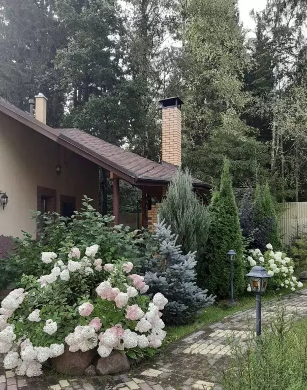 Коттедж в Московская область, Химки городской округ, Благовещенка кп ... - Фото 1