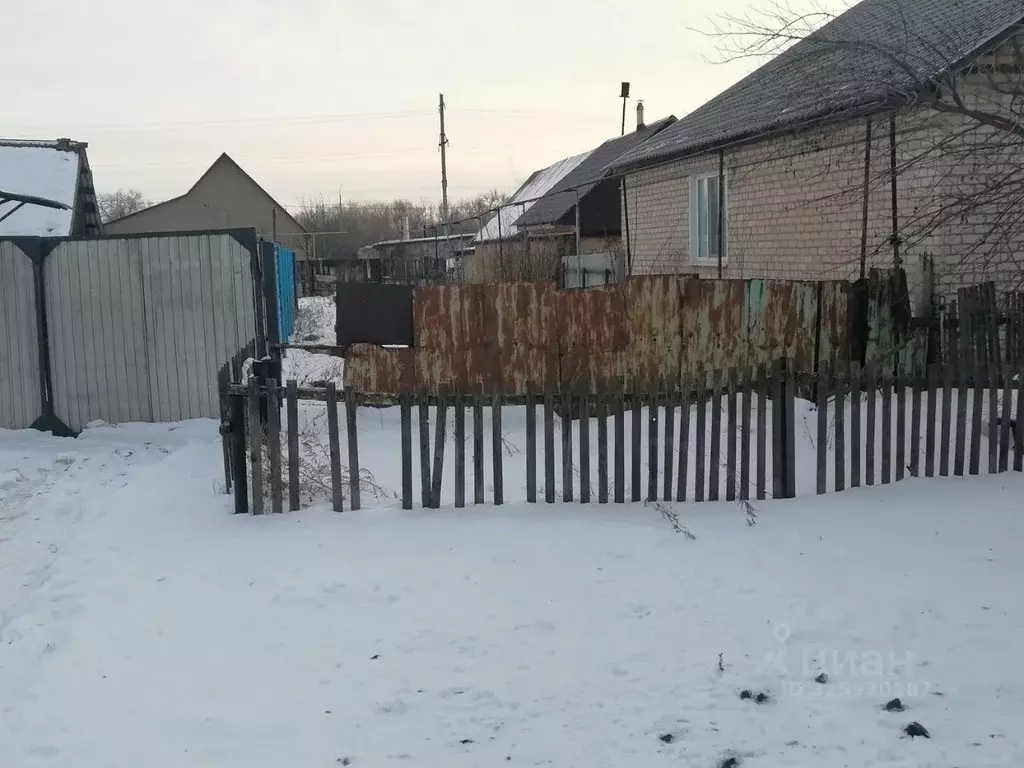 Участок в Оренбургская область, Оренбургский район, с. Ивановка Новая ... - Фото 1