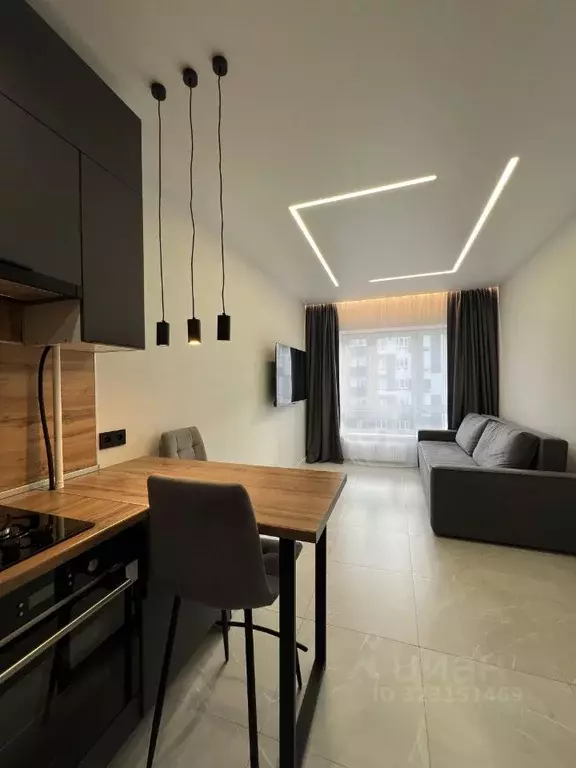 1-к кв. Псковская область, Псковский район, Завеличенская волость, д. ... - Фото 2