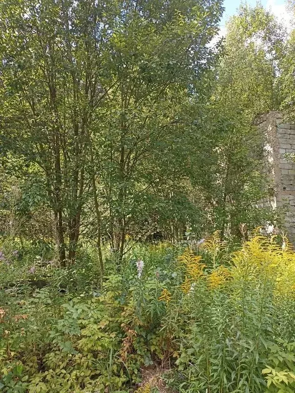 Участок в Московская область, Апрелевка Наро-Фоминский городской . - Фото 1