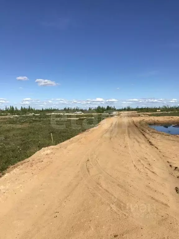 Участок в Ямало-Ненецкий АО, Новый Уренгой ул. 2-я Каскадная, 11 (6.0 ... - Фото 2
