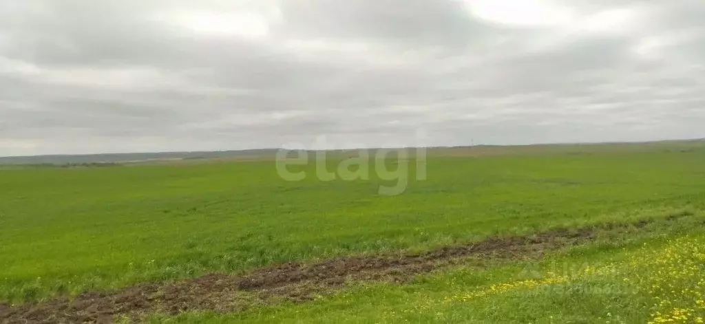 Участок в Крым, Ленинский район, Заветненское с/пос, с. Заветное ул. ... - Фото 0
