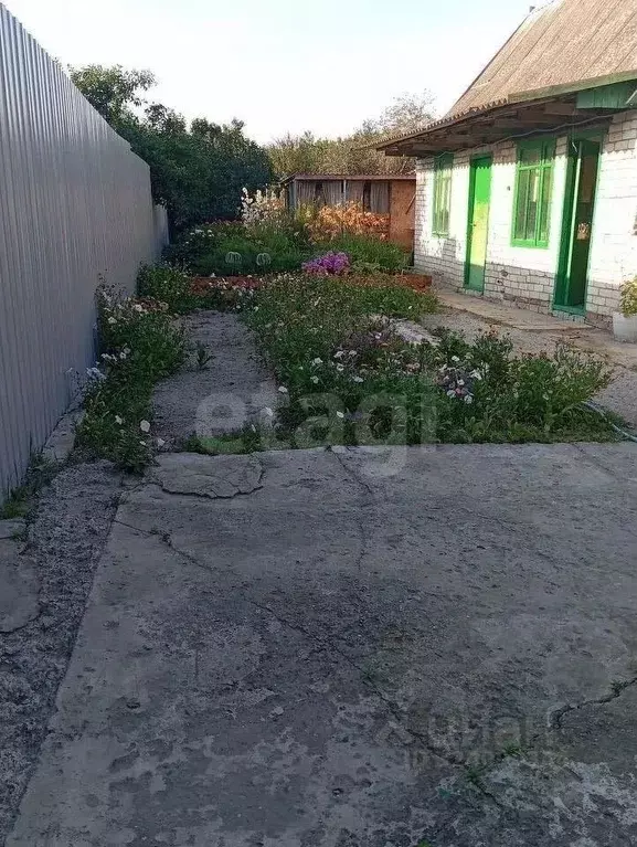 Дом в Белгородская область, Белгород Сумская ул., 262 (59 м) - Фото 1