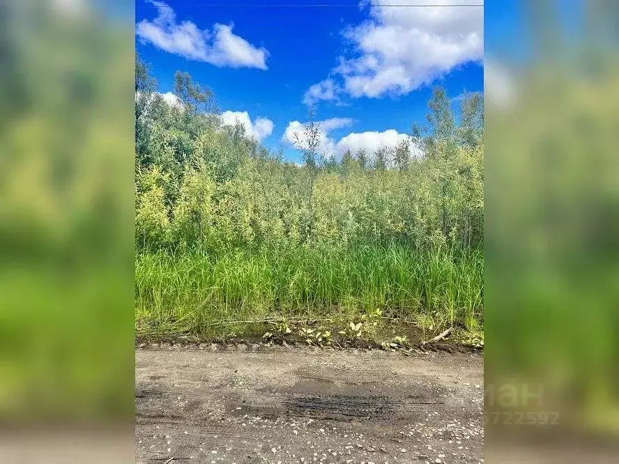 Участок в Ханты-Мансийский АО, Лангепас Солнечная ул., 16 (10.8 сот.) - Фото 2