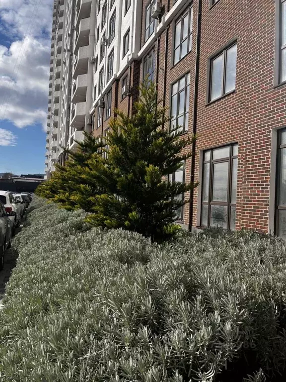 Студия Краснодарский край, Новороссийск Мысхакское ш., 59Г (24.3 м) - Фото 1