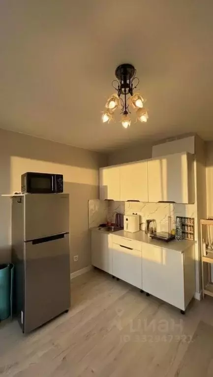 Студия Санкт-Петербург пос. Парголово, Заречная ул., 13к3 (26.5 м) - Фото 2