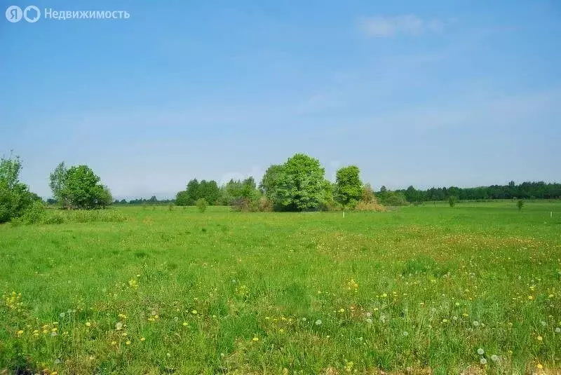 Участок в Смоленская область, Угранский муниципальный округ, деревня ... - Фото 1