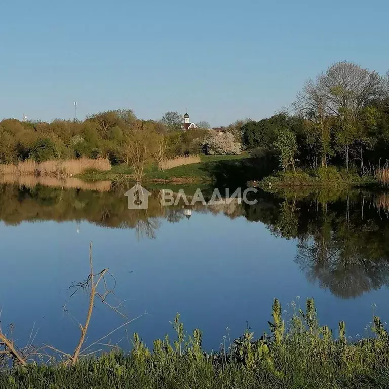 Участок в Белгородская область, Корочанский район, с. Мелихово ул. ... - Фото 0