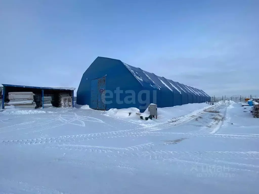 Склад в Ямало-Ненецкий АО, Новый Уренгой ул. Промысловая, 45 (970 м) - Фото 1