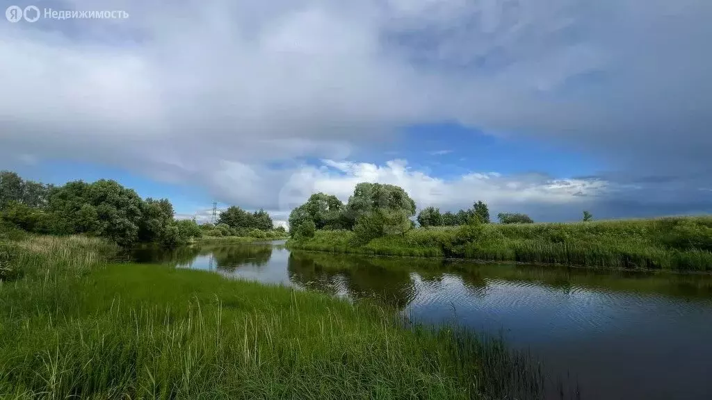 Дом в Ярославский муниципальный округ, СНТ Русь (50 м) - Фото 1