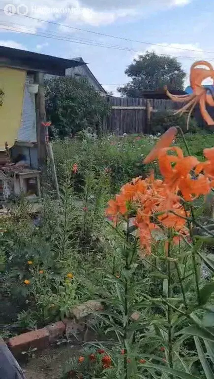 Участок в Заиграевский район, сельское поселение Дабатуйское, СНТ ... - Фото 2