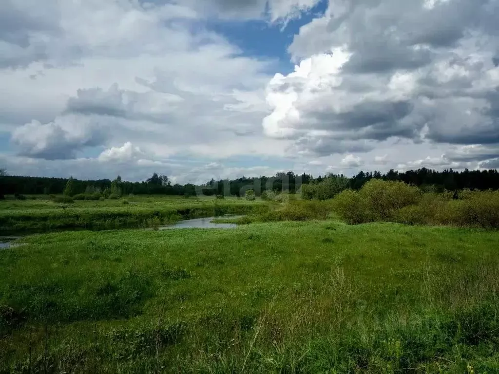 Участок в Тверская область, Калининский муниципальный округ, д. ... - Фото 1