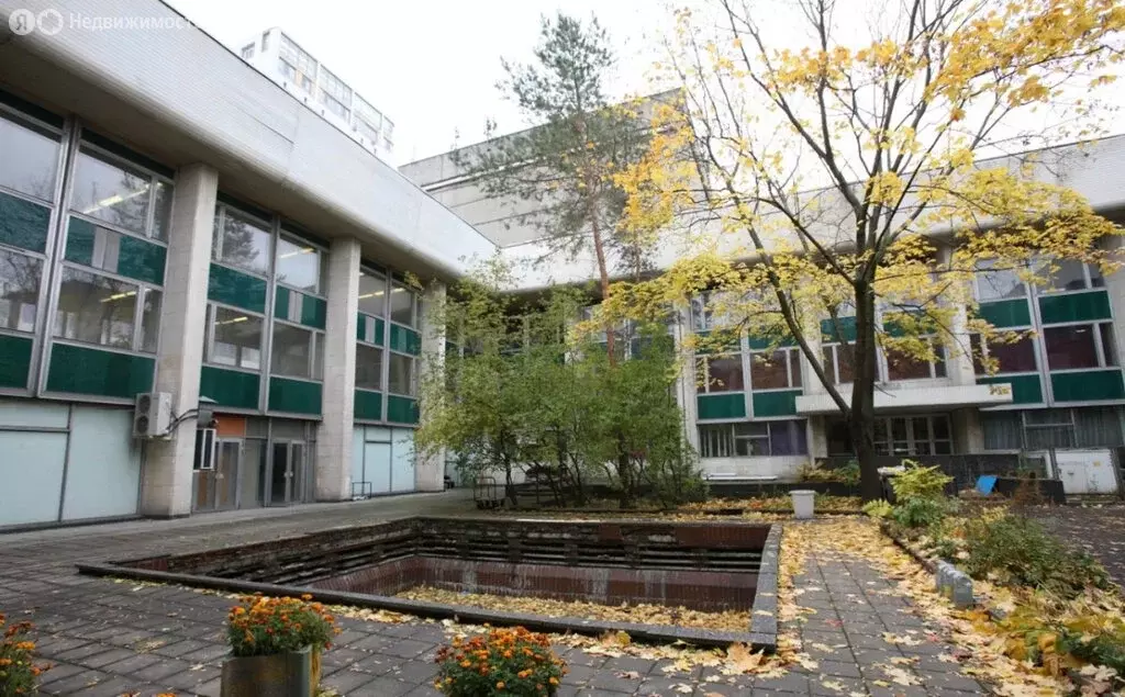 Помещение свободного назначения (537 м) - Фото 1