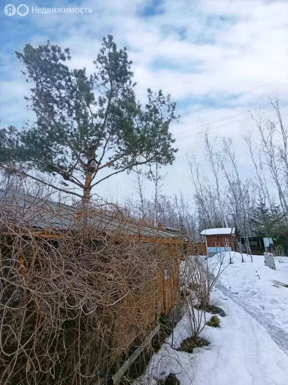 Дом в Комсомольский район, СНТ Галичное, Лунная улица (20 м) - Фото 2