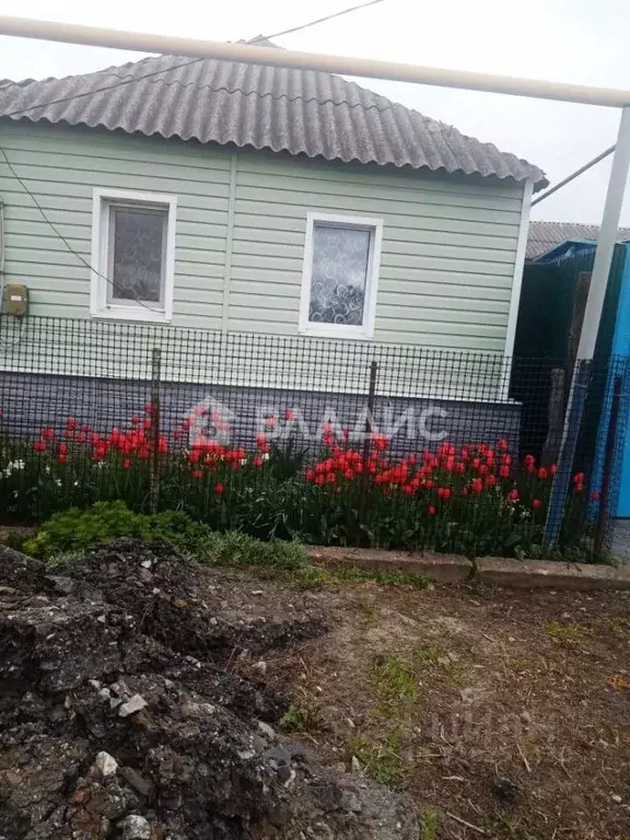 Дом в Белгородская область, Ивнянский район, Сафоновское с/пос, с. ... - Фото 1